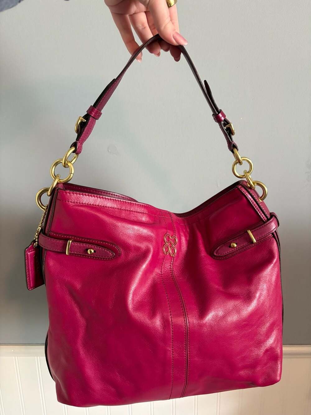 Coach Colette Plum Leather Hobo Bag 16413